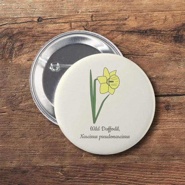 Badge Rond 5 Cm Daffodile botanique Pastel Flower (Botanical Daffodil Button)
