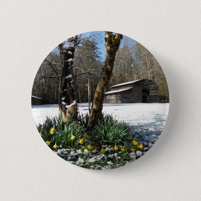 Badge Rond 5 Cm Daffodils flowers dans la neige (Devant)