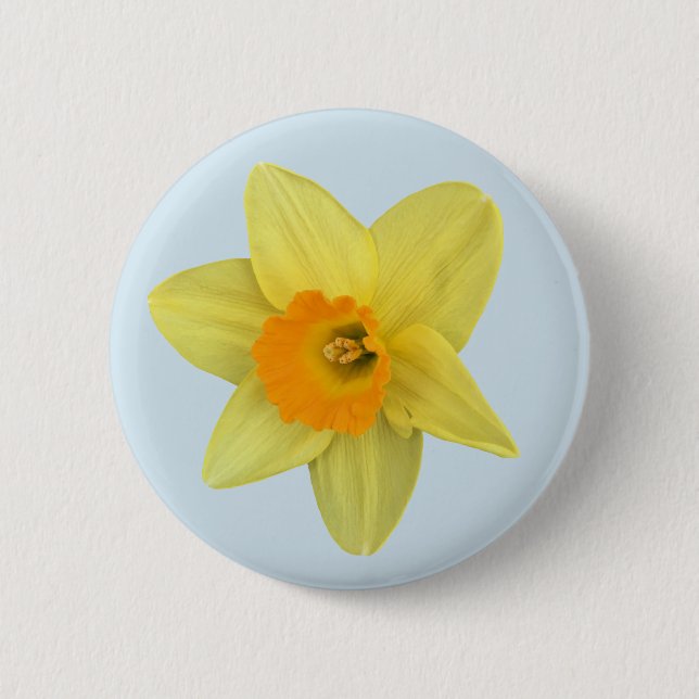 Badge Rond 5 Cm Daffodique de printemps jaune sur bleu pâle (Devant)