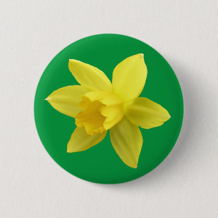 Badge Rond 5 Cm Daffodique jaune sur vert
