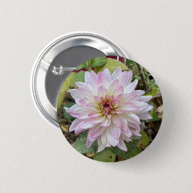 Badge Rond 5 Cm Dahlia à bout rose clair (Devant & derrière)