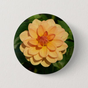 Badge Rond 5 Cm Dahlia 'David Howard'