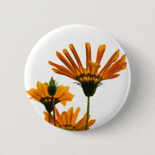 Badge Rond 5 Cm Daisy est sur un Arrière - plan blanc