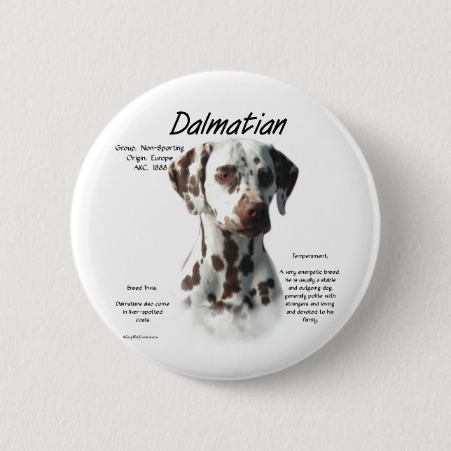 Badge Rond 5 Cm Dalmatien (foie) Conception de l'histoire (Devant)