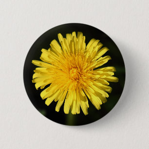 Badge Rond 5 Cm Dandelion