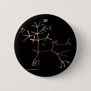 Badge Rond 5 Cm Darwin, je pense l'arbre à la vie