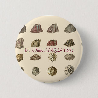 Badge Rond 5 Cm darwin-monographie-barnacles, Mes BARNACLES bien-a