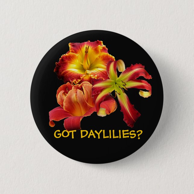 BADGE ROND 5 CM DAYLILIES OBTENUS ? BOUTON (Devant)