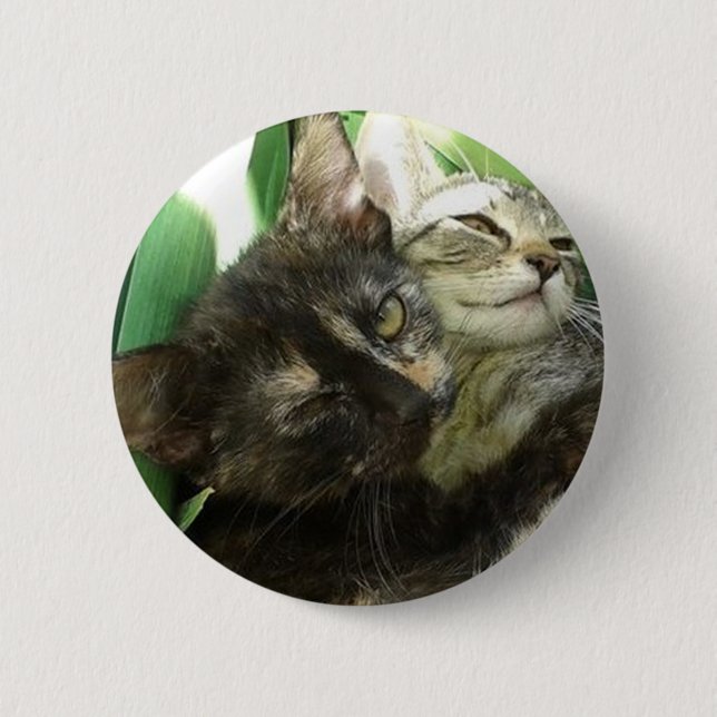Badge Rond 5 Cm De petits chatons câlins (Devant)