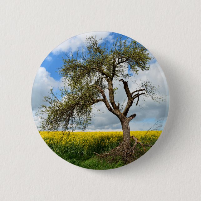 Badge Rond 5 Cm Der alte Baum (Devant)