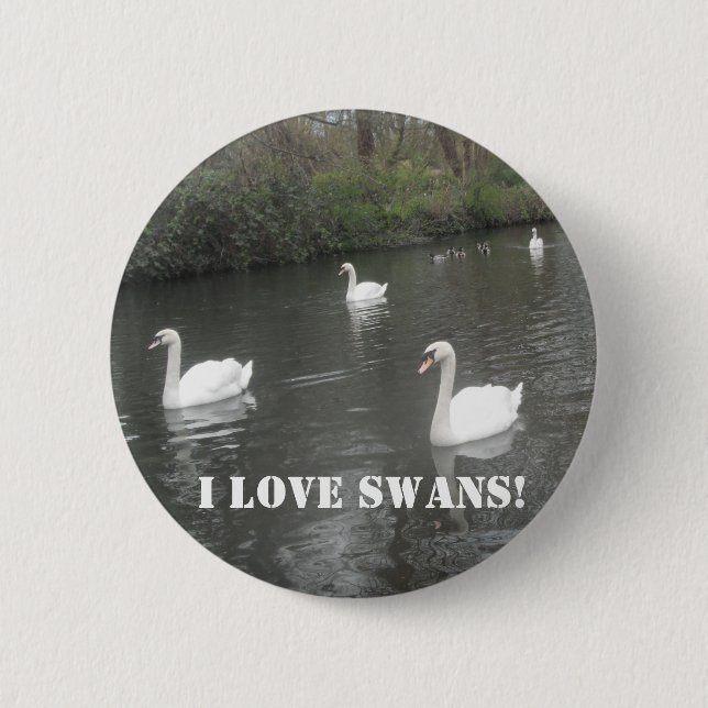 Badge Rond 5 Cm Des cygnes de bouton nageant, j'aime des cygnes (Devant)