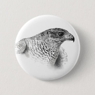 Badge Rond 5 Cm Dessin Goshawk