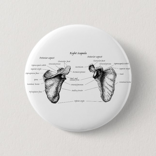 Badge Rond 5 Cm Détails d'omoplate (Devant)