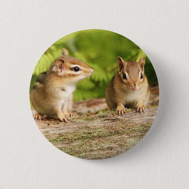 Badge Rond 5 Cm Deux bébés mignons de tamia (Devant)