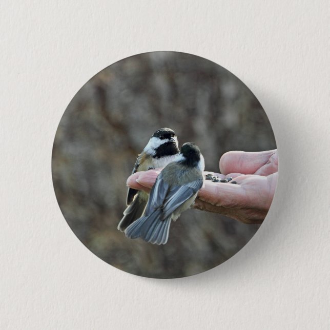 Badge Rond 5 Cm Deux Chickadees sur une main (Devant)