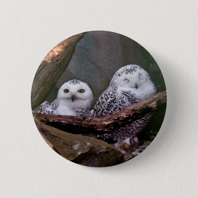 Badge Rond 5 Cm Deux Chouettes (Devant)