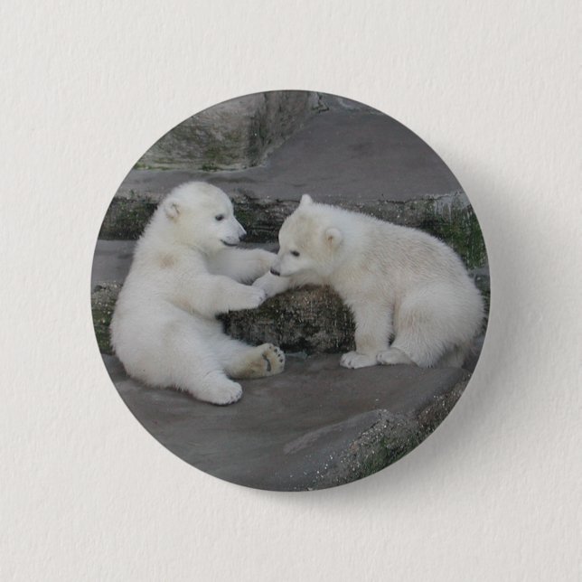 Badge Rond 5 Cm Deux Cubes Ours Polaires (Devant)
