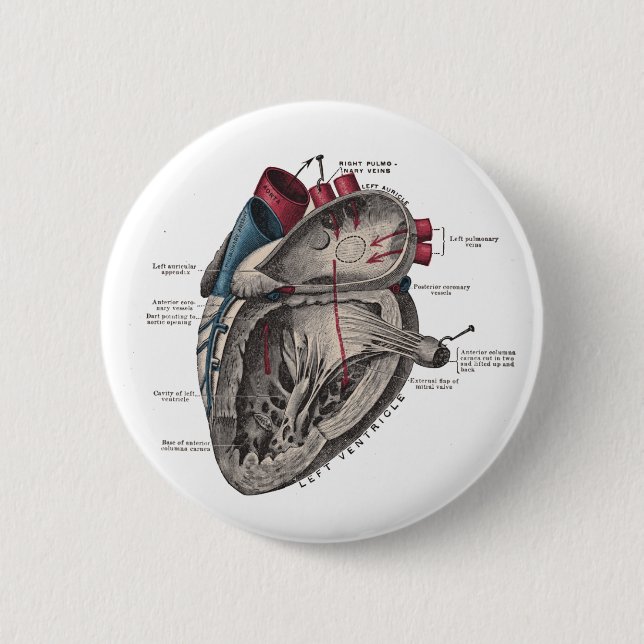 Badge Rond 5 Cm Diagramme anatomique de coeur (Devant)