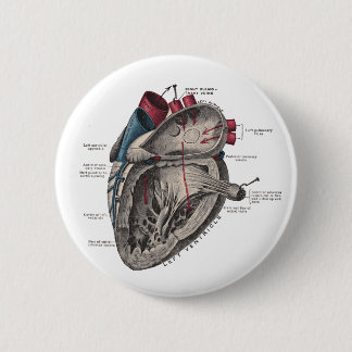Badge Rond 5 Cm Diagramme anatomique de coeur