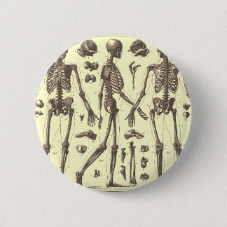 Badge Rond 5 Cm Diagrammes squelettiques vintages