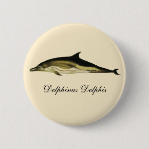 Badge Rond 5 Cm Dolphin Delphinus Delphis, Mammifères marins Vinta