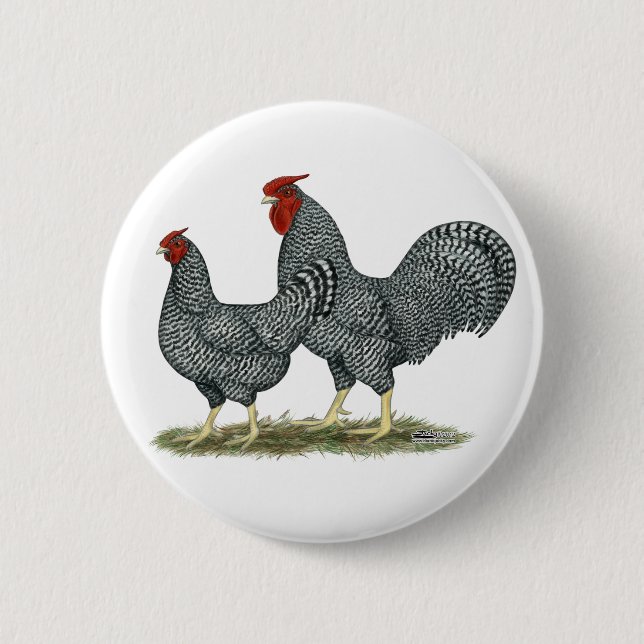 Badge Rond 5 Cm Dominique Chickens (Devant)