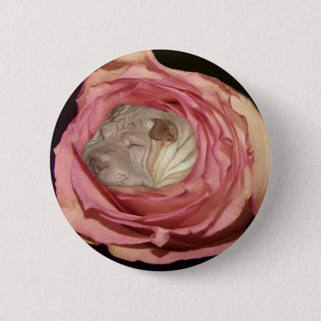 Badge Rond 5 Cm Dormant dans un pâle - rose de rose, chien de Shar (Devant)