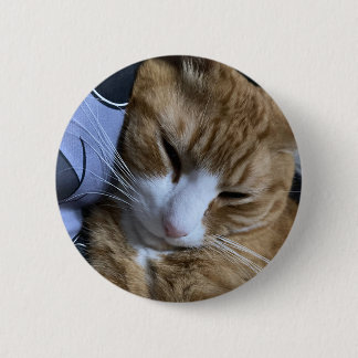 Badge Rond 5 Cm Dormant de chat orange