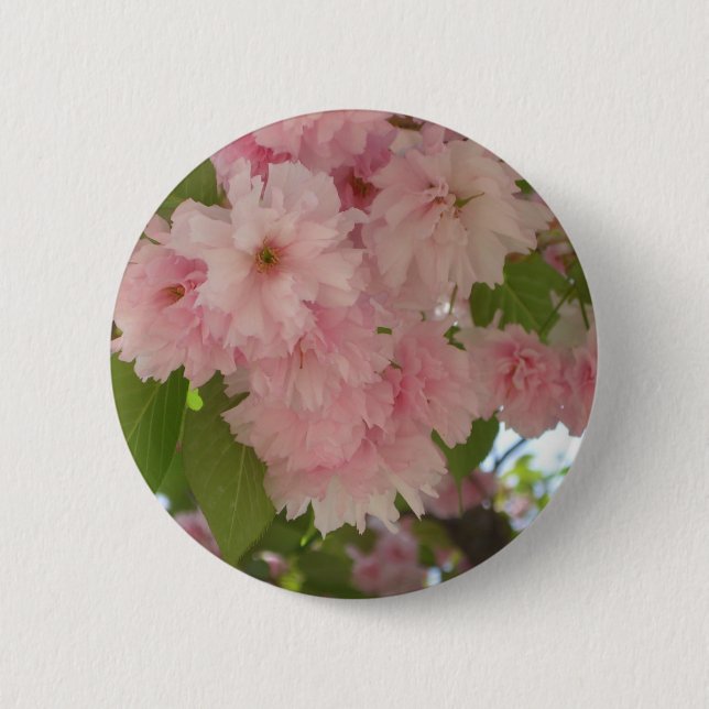 Badge Rond 5 Cm Double floraison cerisier II printemps fleuri (Devant)