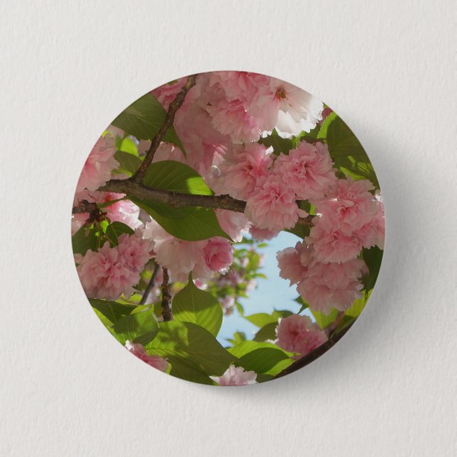 Badge Rond 5 Cm Double floraison cerisier III printemps fleuri (Devant)