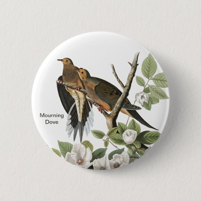 Badge Rond 5 Cm Dove de deuil par John James Audubon, Birdwatcher (Devant)