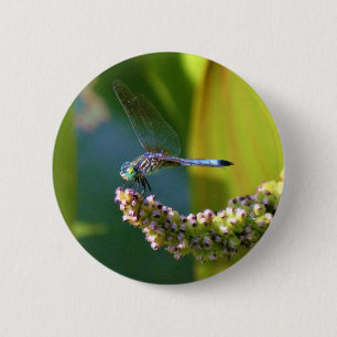 Badge Rond 5 Cm Dragonfly aux yeux turquoises