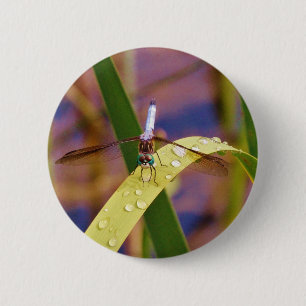 Badge Rond 5 Cm Dragonfly sur la feuille de pluie