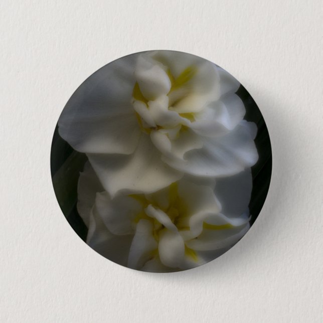 Badge Rond 5 Cm Dreamy Narcissus Daffodils (Devant)