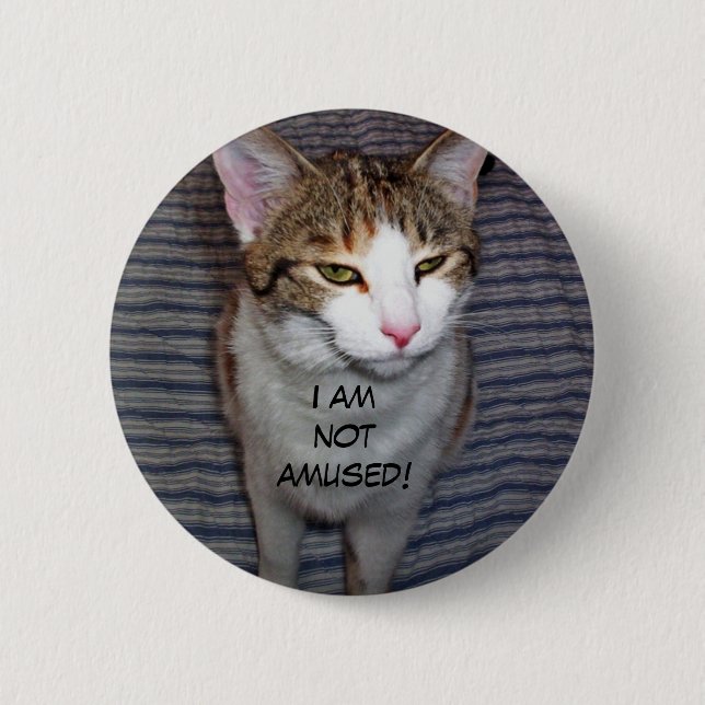 Badge Rond 5 Cm Drôle chat craneux (Devant)