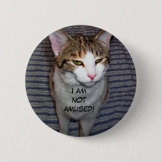 Badge Rond 5 Cm Drôle chat craneux