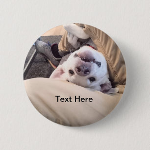 Badge Rond 5 Cm Drôle Chien ne sera pas ignoré Photo comique