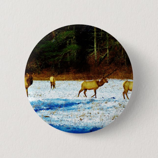 BADGE ROND 5 CM DSC00131.JPG (Devant)