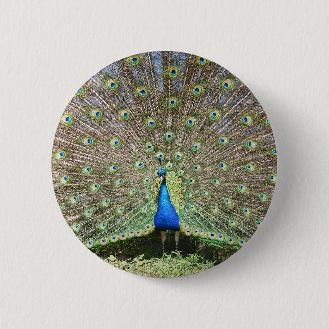 BADGE ROND 5 CM DSCF1062 (Devant)