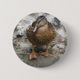 Badge Rond 5 Cm Duck on a Wall Button