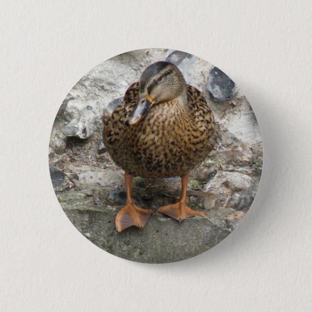 Badge Rond 5 Cm Duck on a Wall Button (Devant)