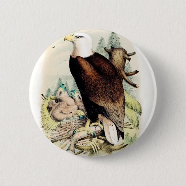 Badge Rond 5 Cm Eagle chauve américain (Devant)