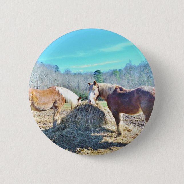 Badge Rond 5 Cm Ébauche secourue Chevaux mangeant foin (Devant)