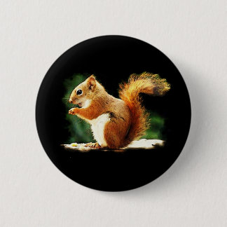 Badge Rond 5 Cm Écureuil