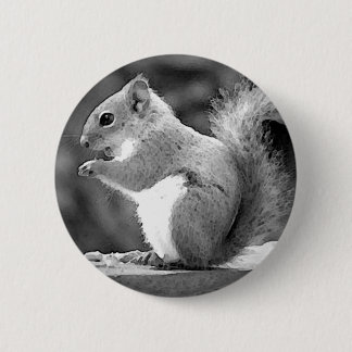 Badge Rond 5 Cm Écureuil