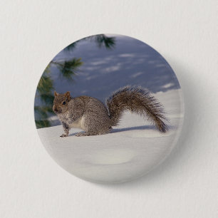 Badge Rond 5 Cm Écureuil en neige