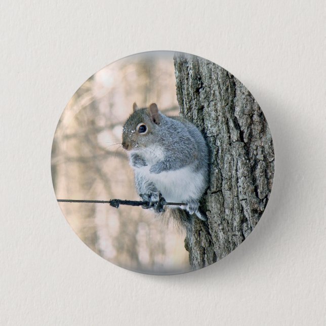 Badge Rond 5 Cm Écureuil gris - Sciurus carolinensis (Devant)