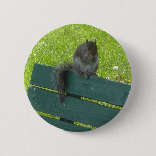 Badge Rond 5 Cm Écureuil sur le banc