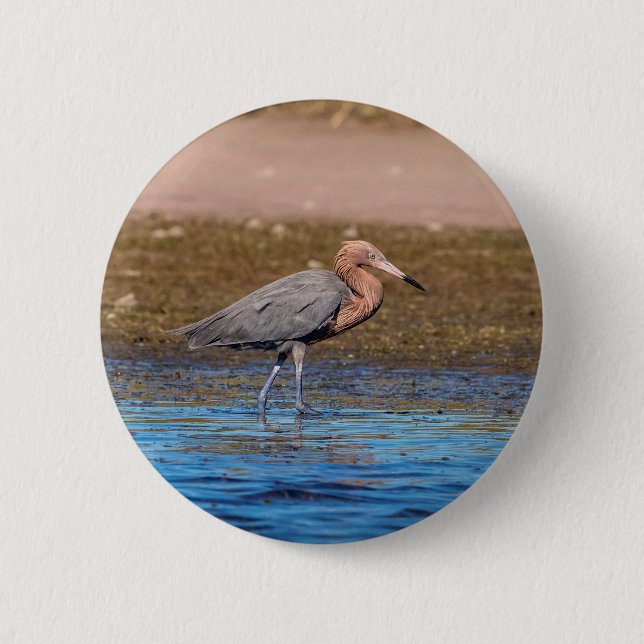 Badge Rond 5 Cm Egret rouge sur North Beach (Devant)