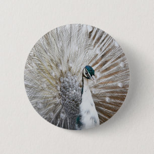 Badge Rond 5 Cm Élégant Peacock Albino